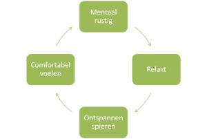 Vicieuze cirkel Silla goed